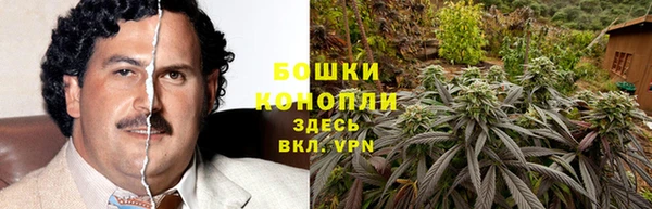 2c-b Волосово