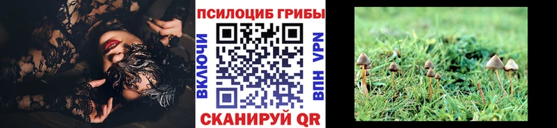 Галлюциногенные грибы мицелий  Купить закладки  Орлов 